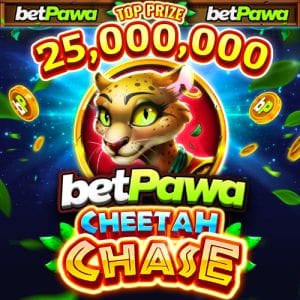 Cheetah Chase