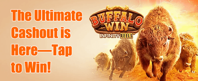 100% First Deposit Match promotion
